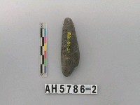 藏品(兩縊型石網墜)的圖片